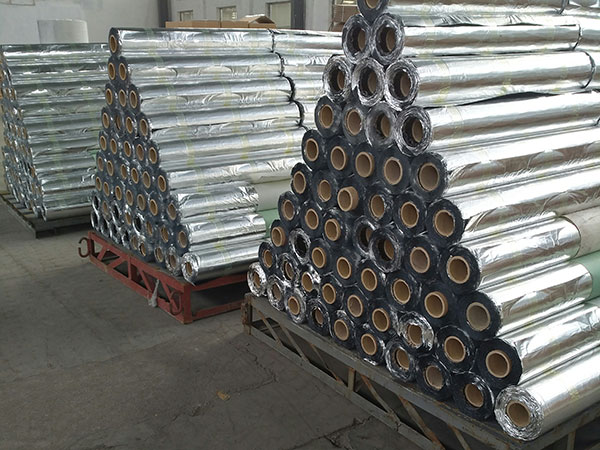 1573719552668485.jpg 92.jpg